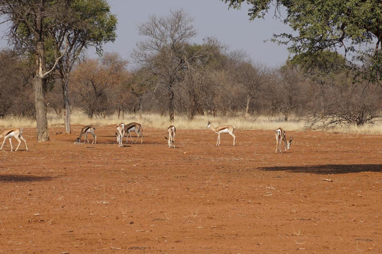 Kwele Game Lodge Beauty المظهر الخارجي الصورة