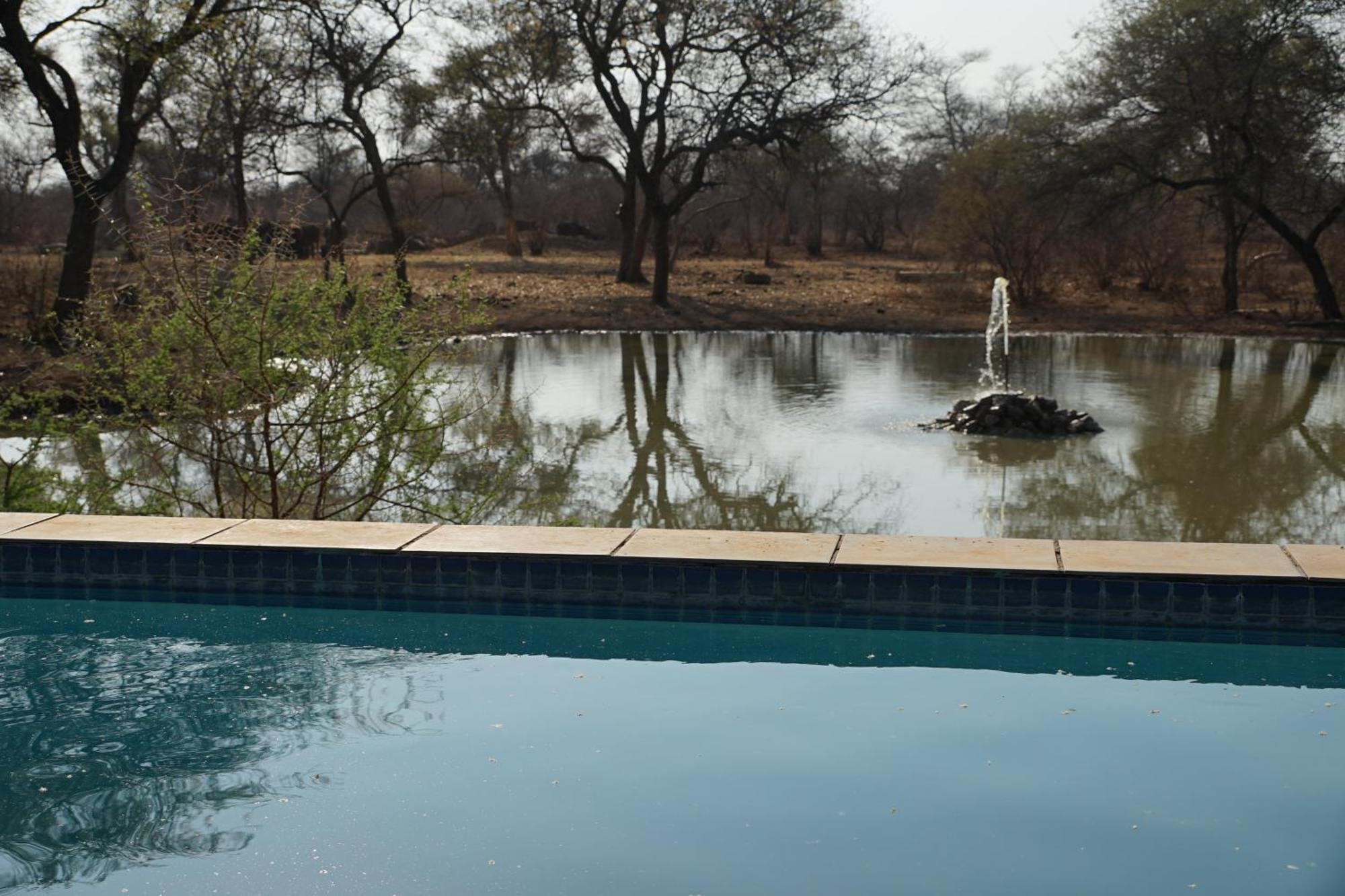 Kwele Game Lodge Beauty المظهر الخارجي الصورة