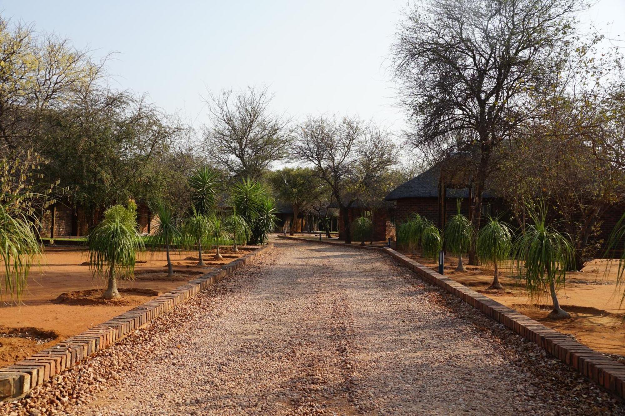 Kwele Game Lodge Beauty المظهر الخارجي الصورة